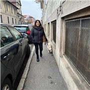 Insegnante di Lettere, con esperienzponibile per lezioni private in presenza e on line, per studenti di scuole medie e superiori